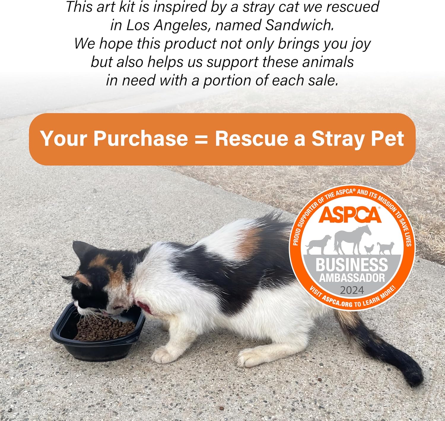 COI Play Meow & Bark Amazon-style listing image 2