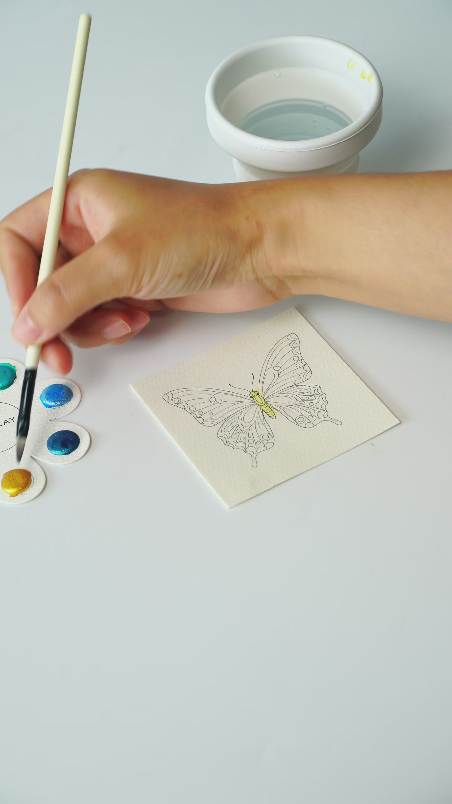 COI Play Frame & Create Butterfly Watercolor Set video 02