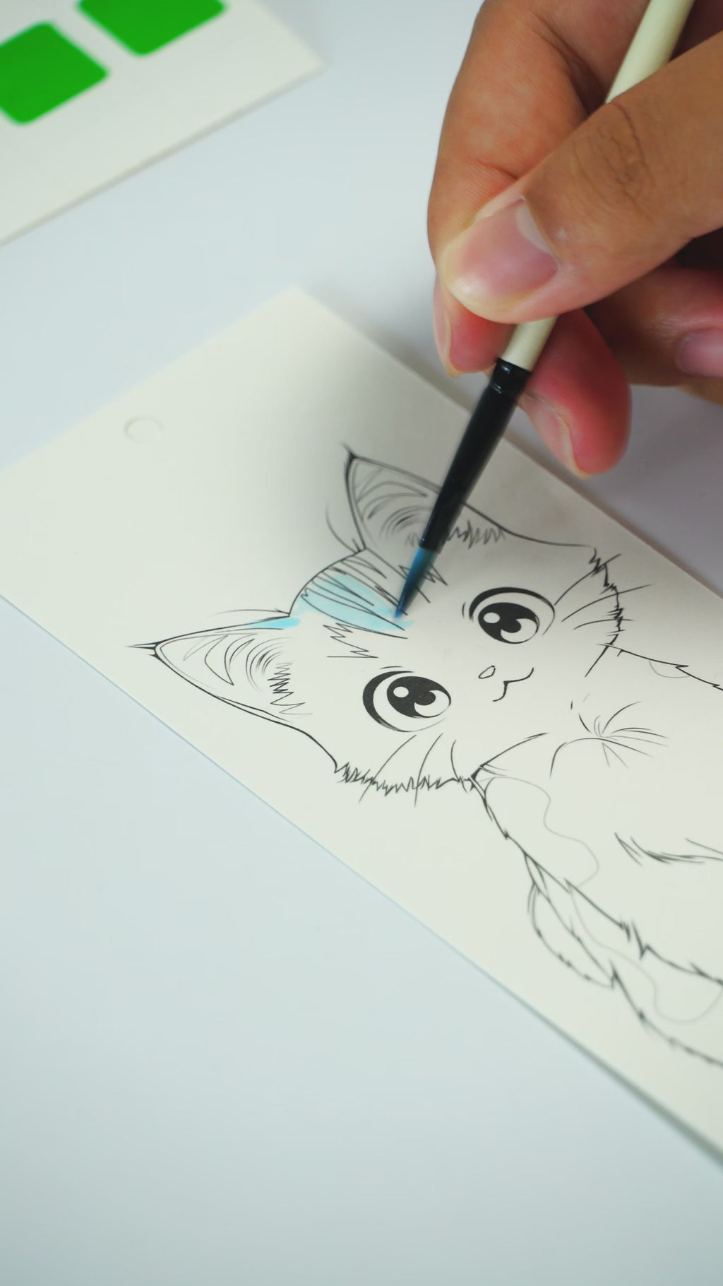 COI Play Meow Sandwich Watercolor Bookmark Coloring Book video