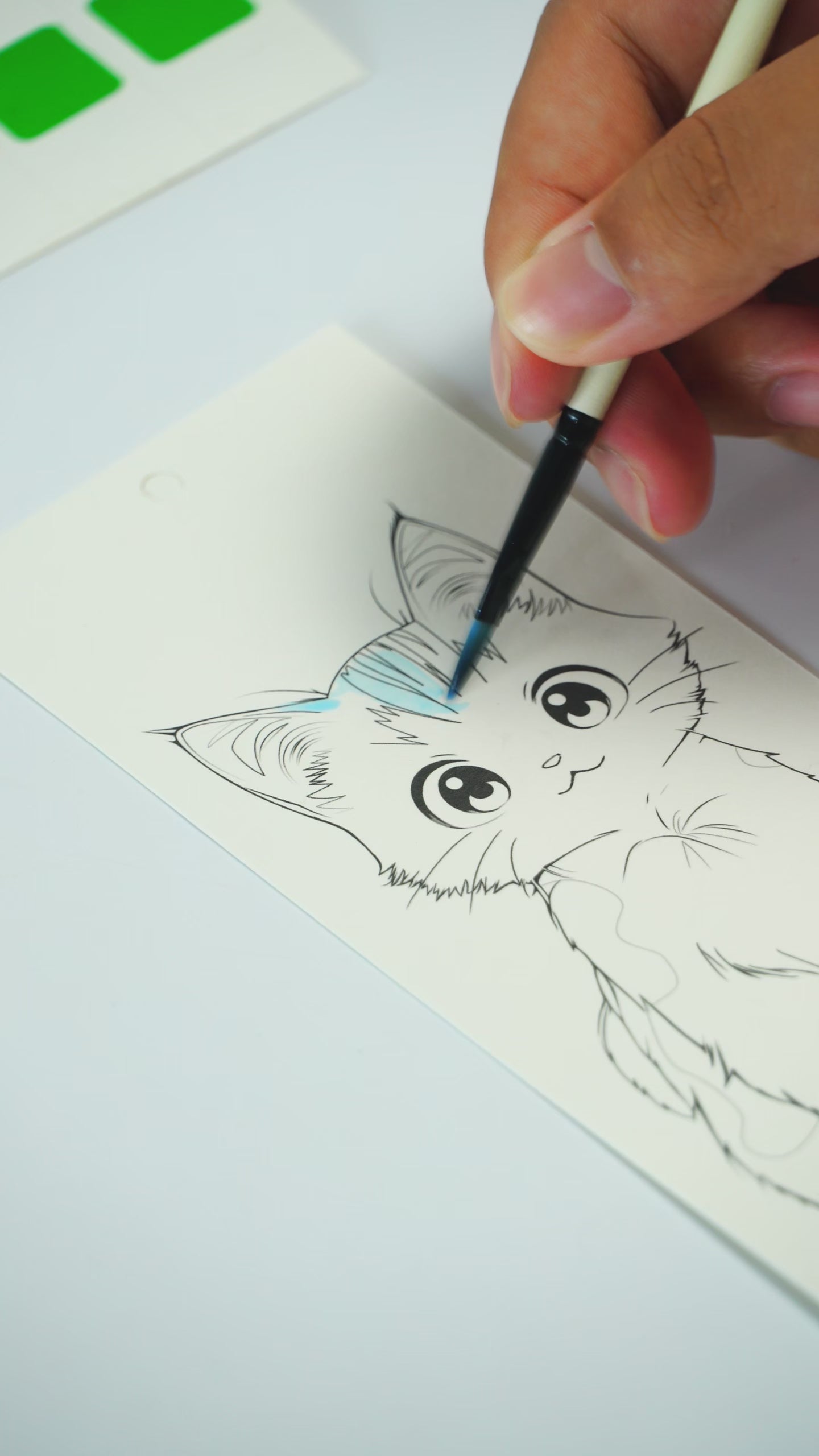 COI Play Meow Sandwich Watercolor Bookmark Coloring Book video